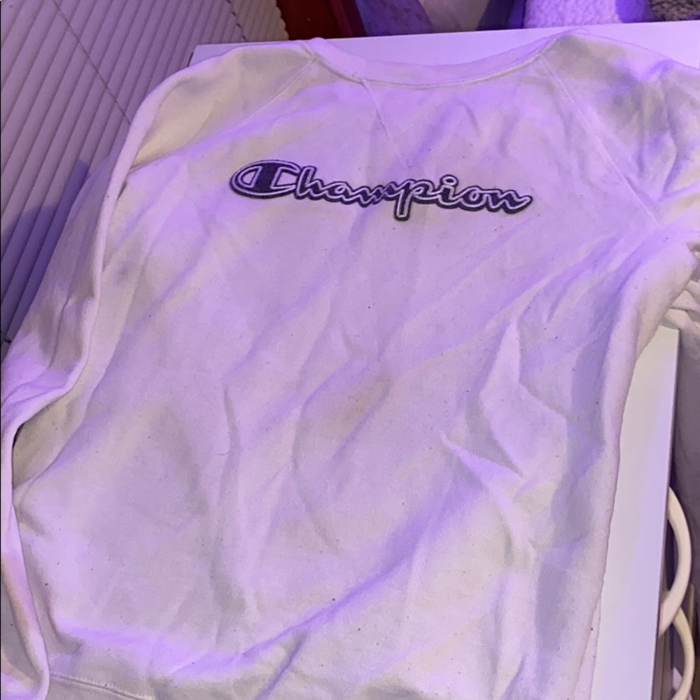 Champion sweater